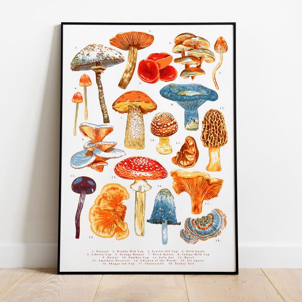 Lámina artística de hongos (tamaño A3/A4) - Ilustración de hongos