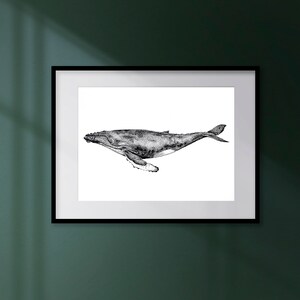 Whale Art Print Dotwork Humpback Whale Illustration image 4