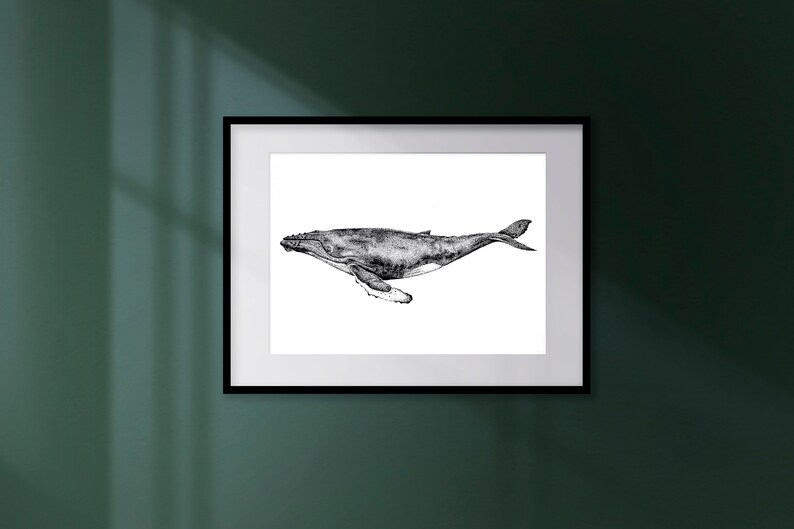 Whale Art Print Dotwork Humpback Whale Illustration image 4