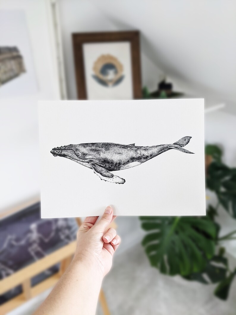 Whale Art Print Dotwork Humpback Whale Illustration image 5