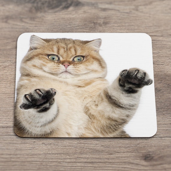 Podkładka Pod Mysz Z Kotem Puszyste Akcesoria Podkładka Kot Mysz Ozdoba Puszysty Ccmp021 Wystrój Zabawny ładny łapa