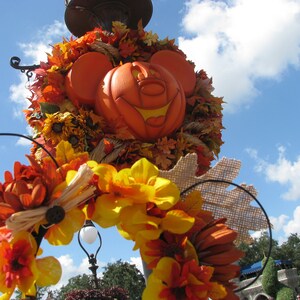 Fall Inspired Ears