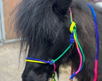 Equipride Rope Headcollar with Lead Rope Rainbow Coloured Size Full-Shetland