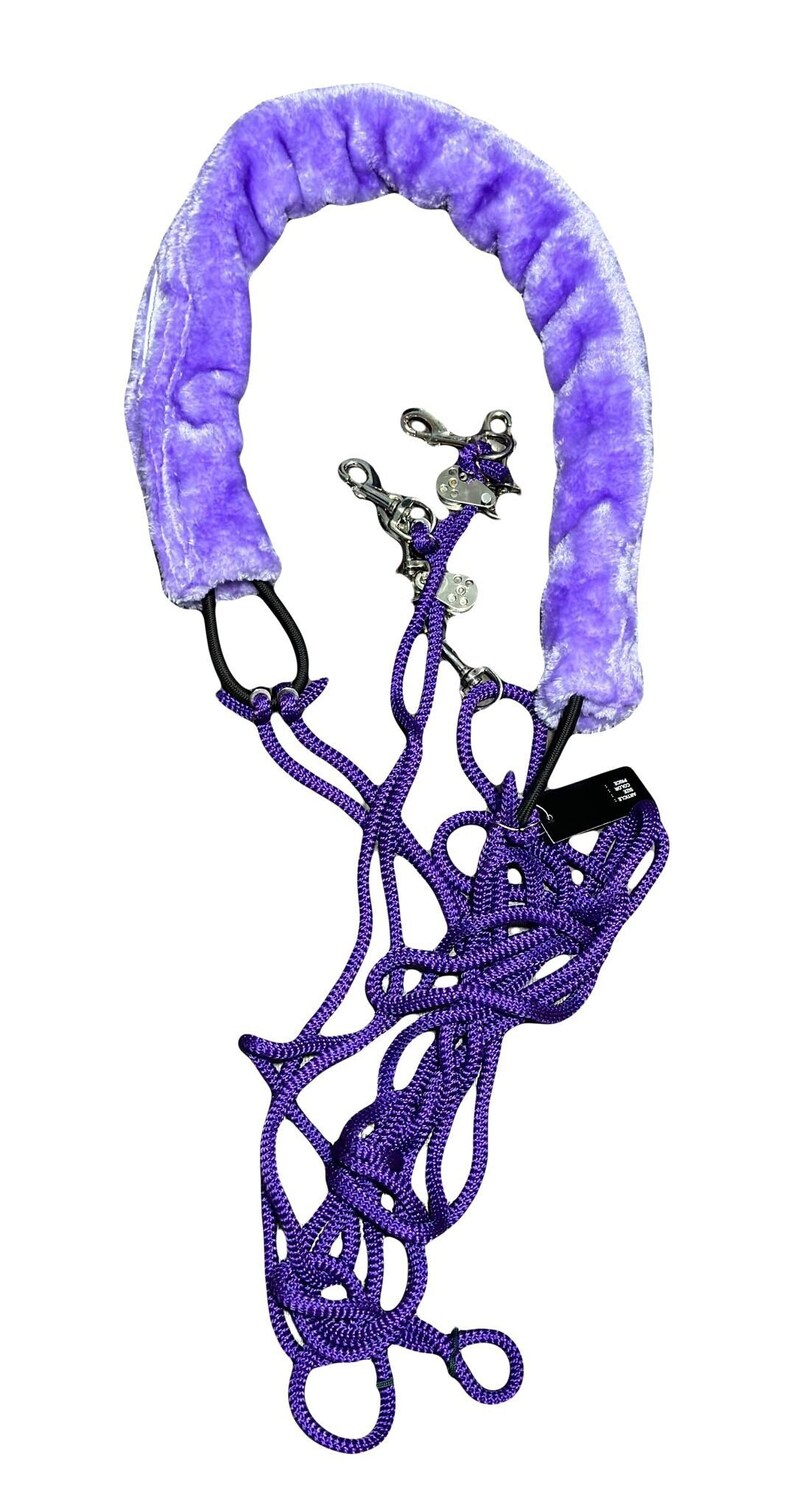 Equipride Pessoa Based Horse Training Aid Lunging System Purple Etsy