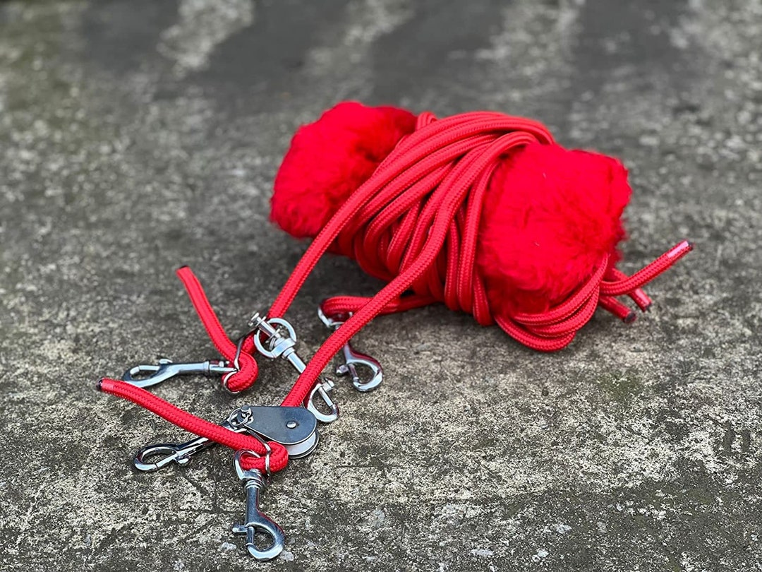 Equipride Pessoa Based Horse Training Aid Lunging System Purple Etsy