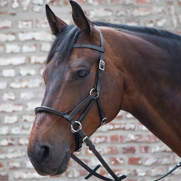 Linda Tellington Jones Lindell Bitless Bridle with Stiffened Noseband Black and Brown