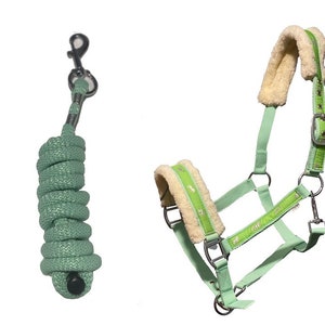 Equipride Horse Print Faux Lined Nylon Headcollars with Matching Lead Rope Hunter Mint Green