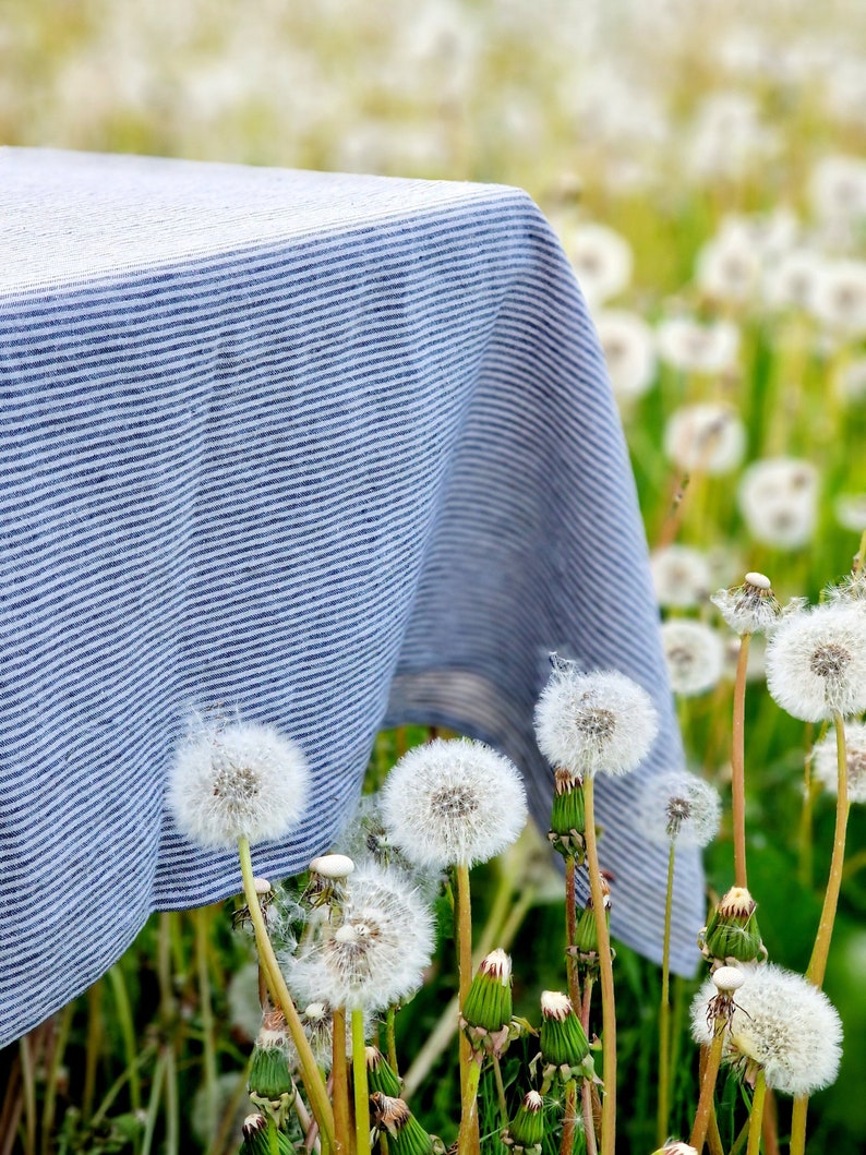 Pu&ograve; includere: Una tovaglia a righe blu e bianche drappeggiata su un campo di dente di leone bianchi. La tovaglia &egrave; realizzata in un tessuto morbido e naturale e ha un leggero bagliore.