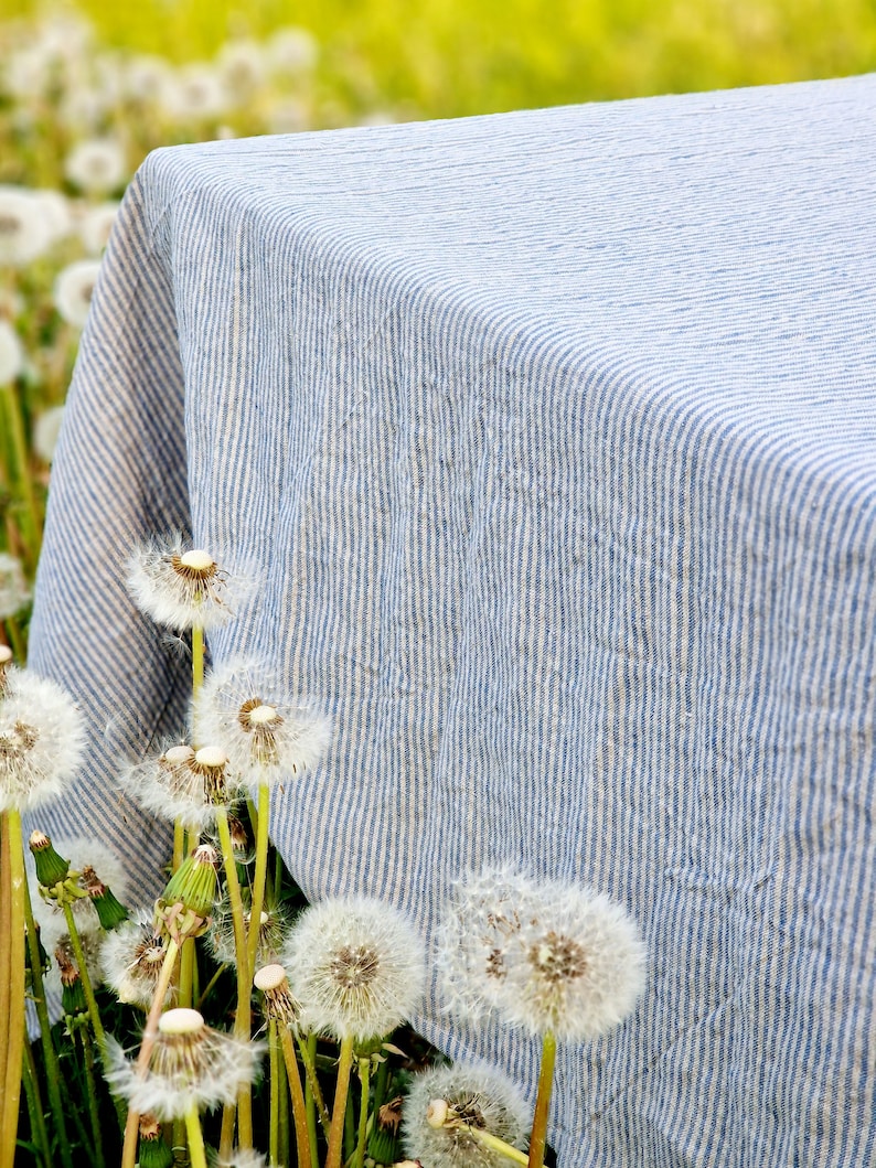 Pu&ograve; includere: Una tovaglia di lino a righe blu e bianche con una texture sottile. La tovaglia &egrave; drappeggiata su un tavolo ed &egrave; circondata da fiori di dente di leone bianchi.