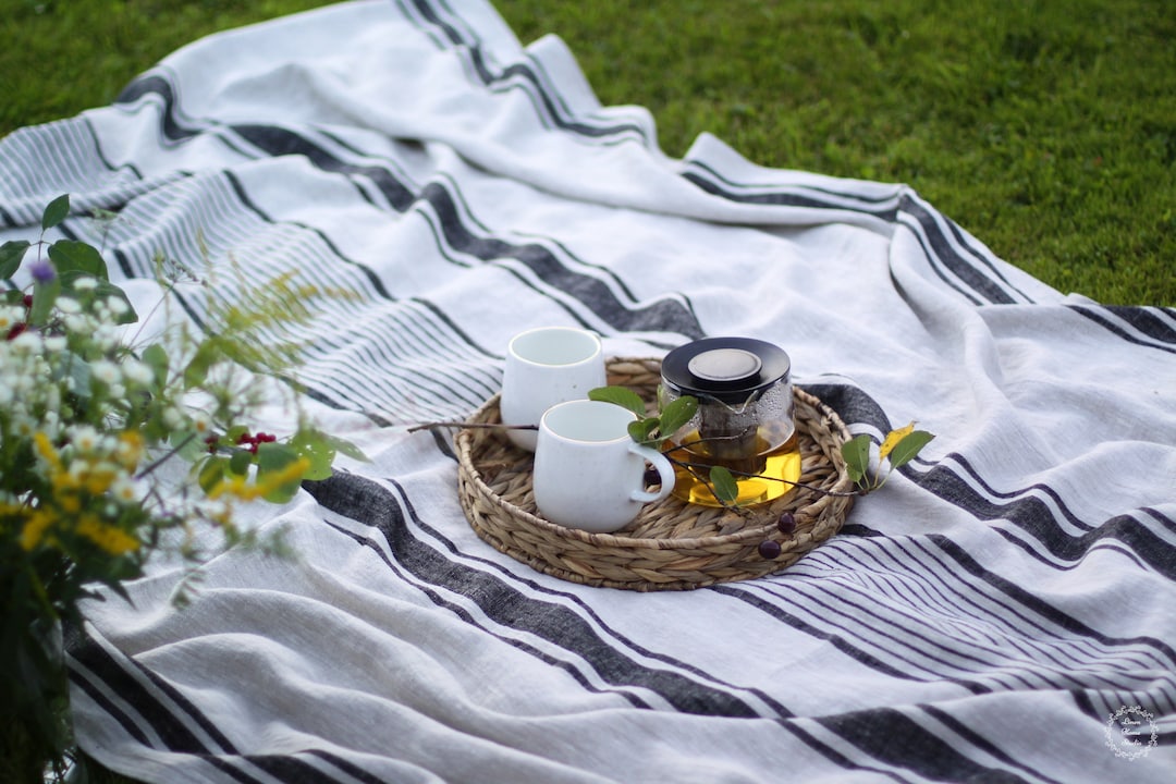 Linen Picnic Blanket French Style Throw Blanket Striped Etsy