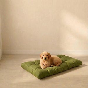 Pode incluir: Um filhote de cor dourada clara descansando em uma cama retangular para animais de estimação, na cor verde-oliva. A cama apresenta uma superfície macia e acolchoada com costuras visíveis que criam um padrão de grade no tecido.