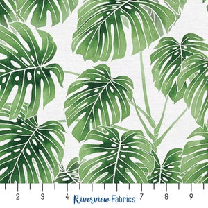 Monstera Leaves Fabric by the Yard, Modern Botanicals Collection, Paintbrush Studios, 100% Quilting Cotton, Fat Quarters