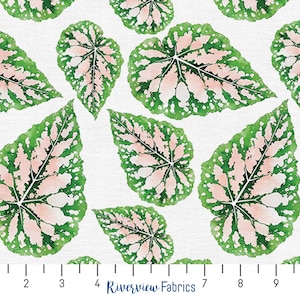 Modern Botanicals Fabric - Jungle Peach, Quilting Fabric by the Yard, Fat Quarters, 100% Cotton, Paintbrush Studios