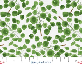 Modern Botanicals Fabric - Pilea, Quilting Fabric by the Yard, Fat Quarters, 100% Cotton, Paintbrush Studios