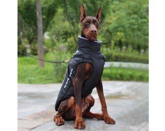 doberman pinscher jackets