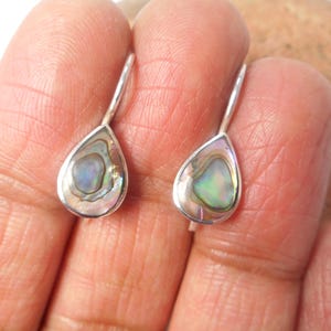 Può includere: Un paio di orecchini a goccia con intarsi di conchiglia di abalone iridescente. Gli orecchini hanno una montatura in metallo color argento e un semplice design a gancio. La conchiglia di abalone mostra una gamma di colori.