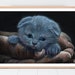 see more listings in the ANIMALS Art section