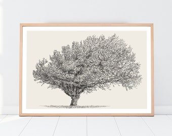 Tree Beech Printable Wall Art, PNG Art, Rustic Farmhouse Vintage Decor, Botanical Illustration, Botanical Print, Vintage Botanical