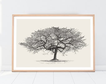 Oak Tree Art Print PNG Vintage Drawing, Hill Tree vintage sketch art, Farmhouse Wall Art, Rustic Home Decor, Digital Download, Art Printable