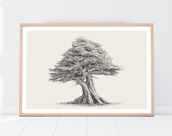 Cedar Tree, Botanical Illustration, Printable Wall Art, Vintage PNG Art, Rustic Home Decor, Farmhouse Wall Art,  Boho Prints