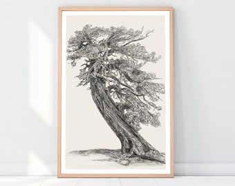 Rustic Digital Print, Pine Tree PNG, Pine Tree wall Art, Vintage Sketch Art, Rustic Farmhouse Decor Printable Wall Art Large Poster Print