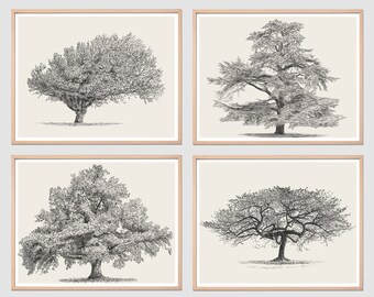 Handmade Cedar Tree Vintage style Set Of 4 PNG   | Oak Tree Minimalist Wall Art  |  Beech Rustic Home Decor