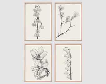 Set Of 4, Flowers, Botanical digital print, Digital download drawings, PNG, Transparent background