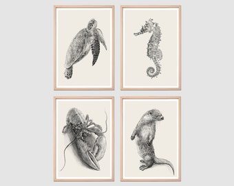 Set Of 4 PNG, Sea Turtle Art, Sea Animal PNG, Sea Life Print, Vintage art prints, Crawfish png, Otter Wall Art, Digital Download, Art Sea