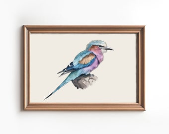 Lilac-breasted roller Bird Wall Art - Vintage bird print Watercolor painting - Rustic Wall Decor