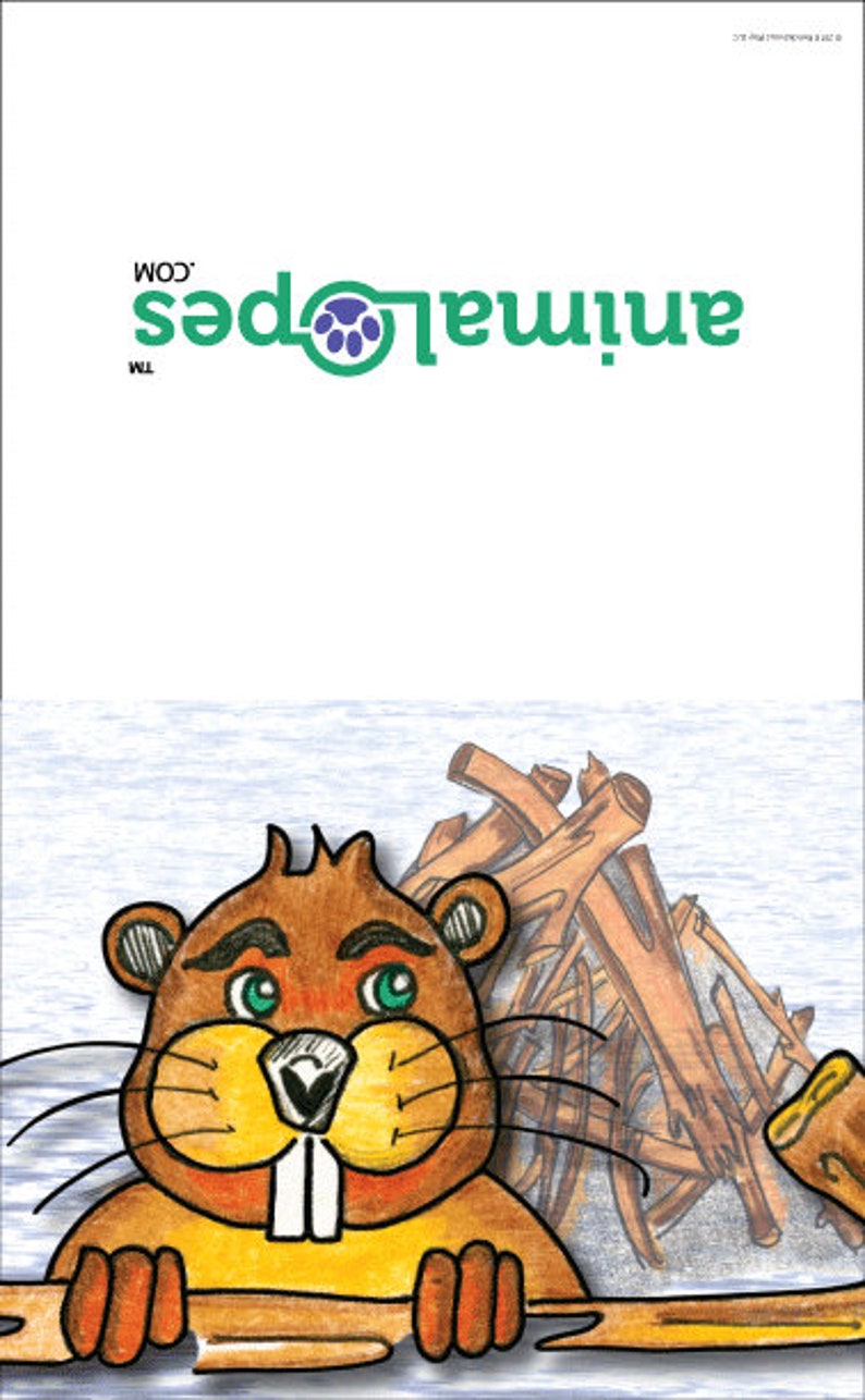 Notecards Beaver Canadian