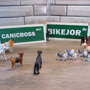 Dog Sport Street Signs | CaniCross Gift | Bikejor Gift| Pulling Dog Sport | Dog Leash Area | Mudroom Decoration | Dog Street Sign | Dog Walk