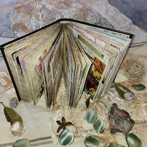 Herbology Journal