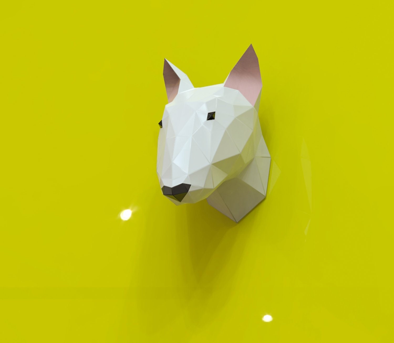 bull terrier stuff