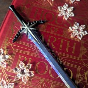 May include: A silver and blue sword with a black handle and a star-shaped pommel. The sword is lying on a red book with gold lettering that reads "House of Earth and Blood" by Sarah J. Maas.