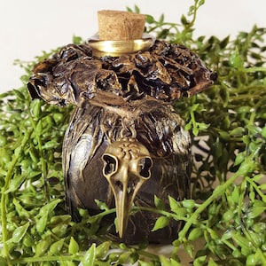 Bird Skull Potion Bottle - Wizard Potion Bottle - Cosplay Bottle - LARP Bottle - Halloween Decor