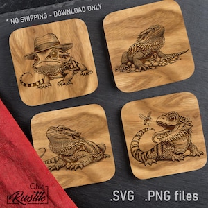 Fichiers gravure laser Dragon Barbu mignon SVG PDF PNG, Dessin vectoriel Pogona Vitticeps mignon pour machines à gravure laser