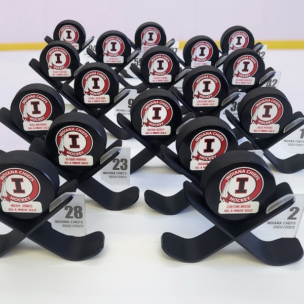 Rondelle de hockey personnalisée avec présentoir, trophée pour équipe, Cadeau pour équipe de joueurs de hockey