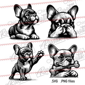 French Bulldog SVG PDF and PNG, 4 Frenchie Vector Design for Laser ...