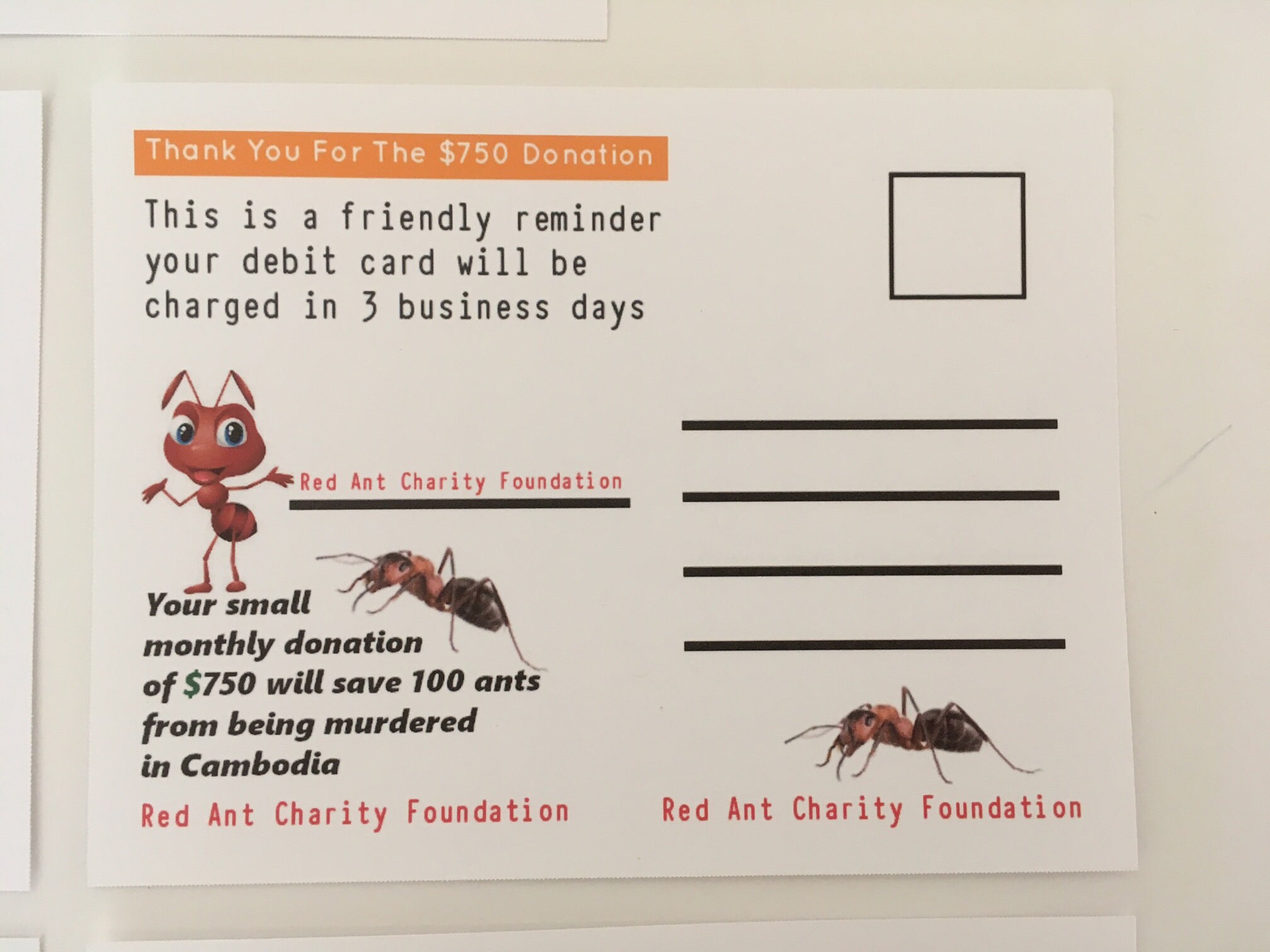 Prank Postcards Revenge Gift Practical Jokes Funny Gags Etsy