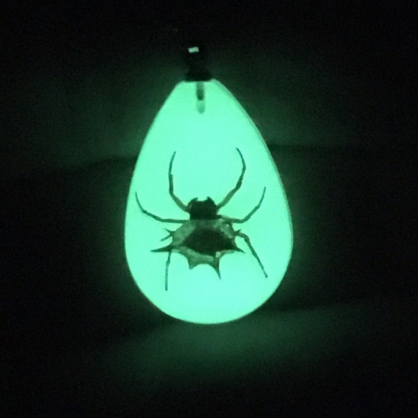 REAL Spider Pendant Necklace Spiny Backed Orbweaver Glows in the Dark