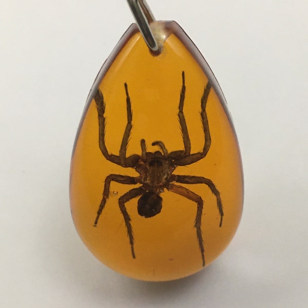 Real Spider Necklace Insect in Resin Pendant