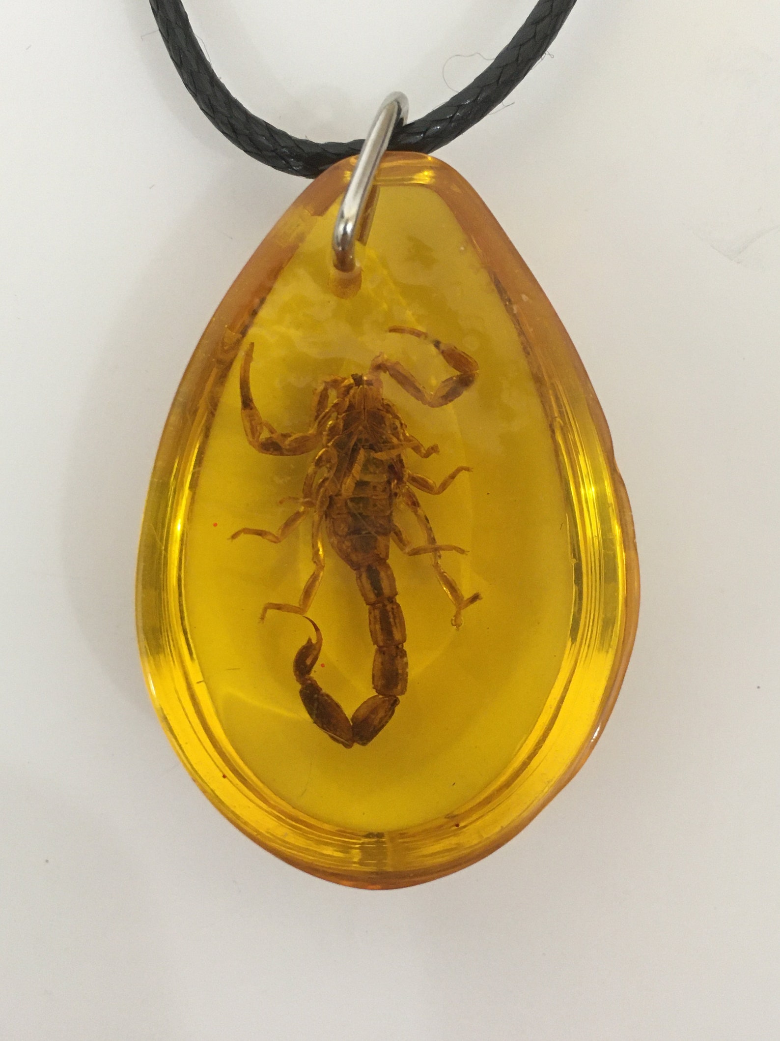 Scorpion Necklace Real Scorpion Pendant in Replica Amber Resin Etsy
