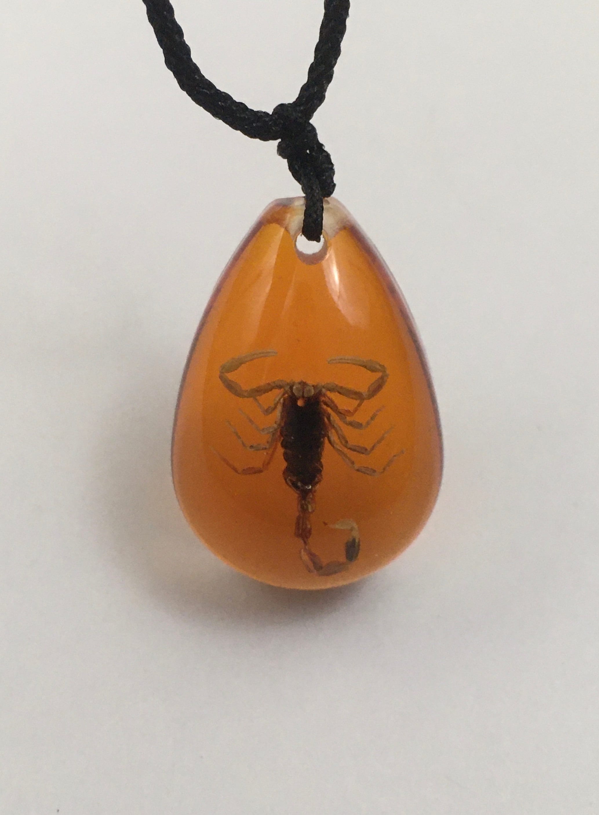 Real scorpion deals necklace