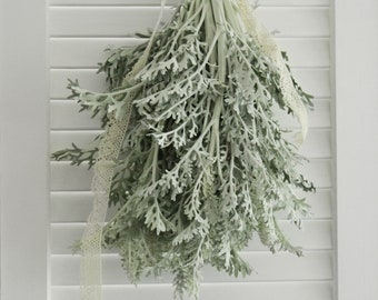 Fresh Dusty Miller- 10 stem bunches (free shipping)  - DIY Wedding  | Showers  | Event  | Holidays