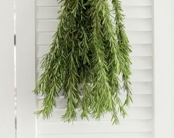 Fresh Cut Rosemary Herbs 8-10 stems (free shipping) - DIY Wedding  | Showers  | Event  | Holidays