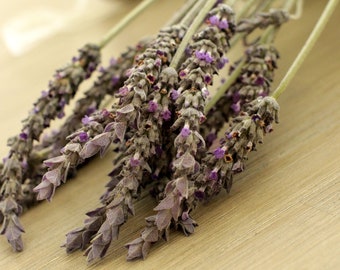 Fresh English Lavender Flower - 15 stems (free shipping)