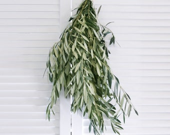 Fresh Olive Branch 8-10 stems  - DIY Wedding  | Showers  | Event  | Holidays | Garland | Greenery