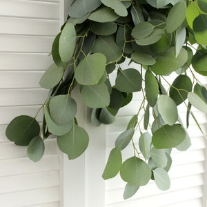 Fresh Silver Dollar Eucalyptus Bunch 5-7 stems DIY Wedding Showers Event Holidays Garland Greenery Table Runner image 2