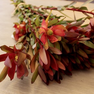 Safari Sunset Leucadenron free shipping Christmas Flowers DIY Wedding Showers Event Holiday Decorations image 3