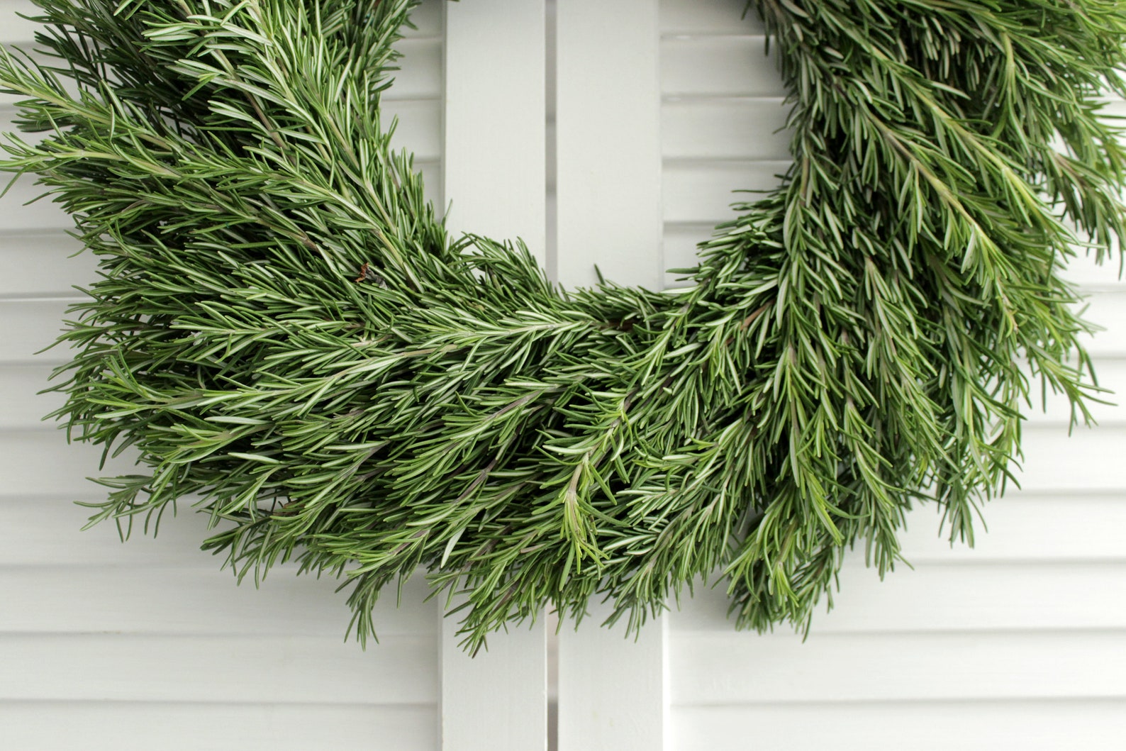 Fresh Handmade Rosemary Wreath Greenery Wreath for Front Etsy